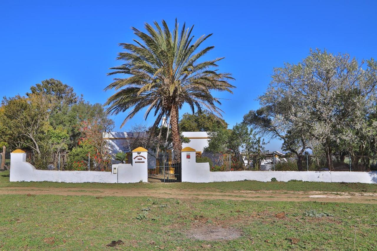 Casa Rural Finca Los Hierros Vejer de la Frontera Ngoại thất bức ảnh