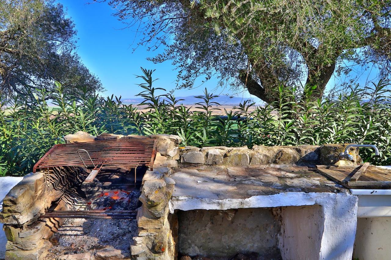 Casa Rural Finca Los Hierros Vejer de la Frontera Ngoại thất bức ảnh