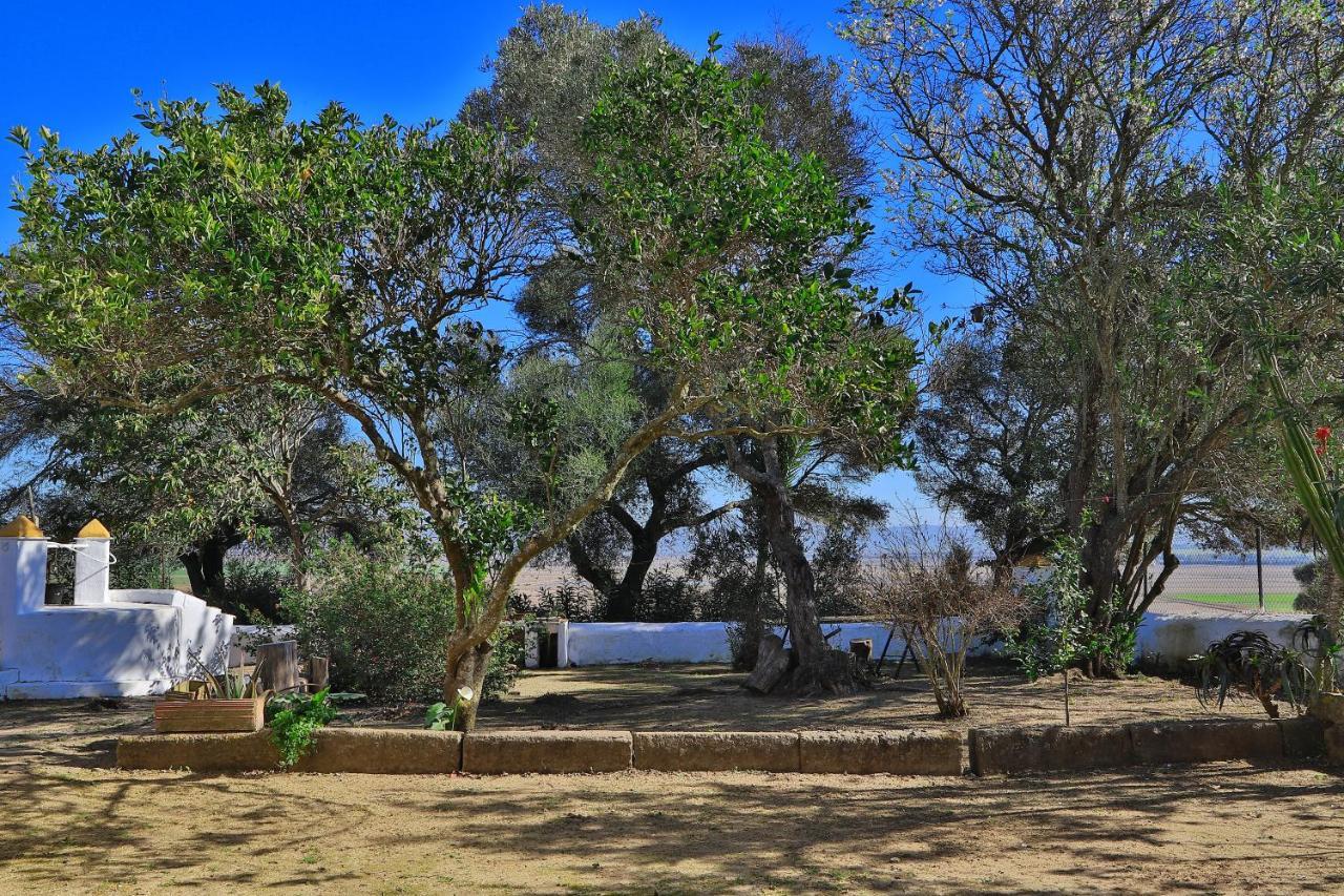 Casa Rural Finca Los Hierros Vejer de la Frontera Ngoại thất bức ảnh