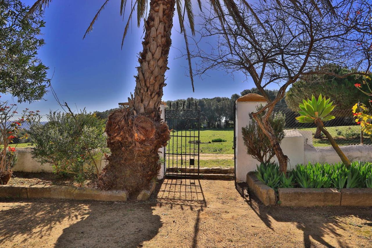 Casa Rural Finca Los Hierros Vejer de la Frontera Ngoại thất bức ảnh