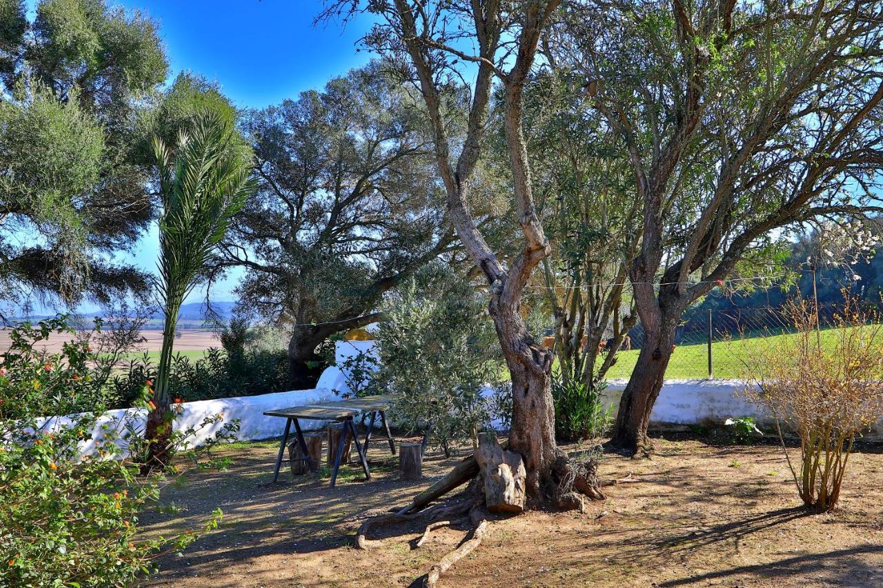 Casa Rural Finca Los Hierros Vejer de la Frontera Ngoại thất bức ảnh