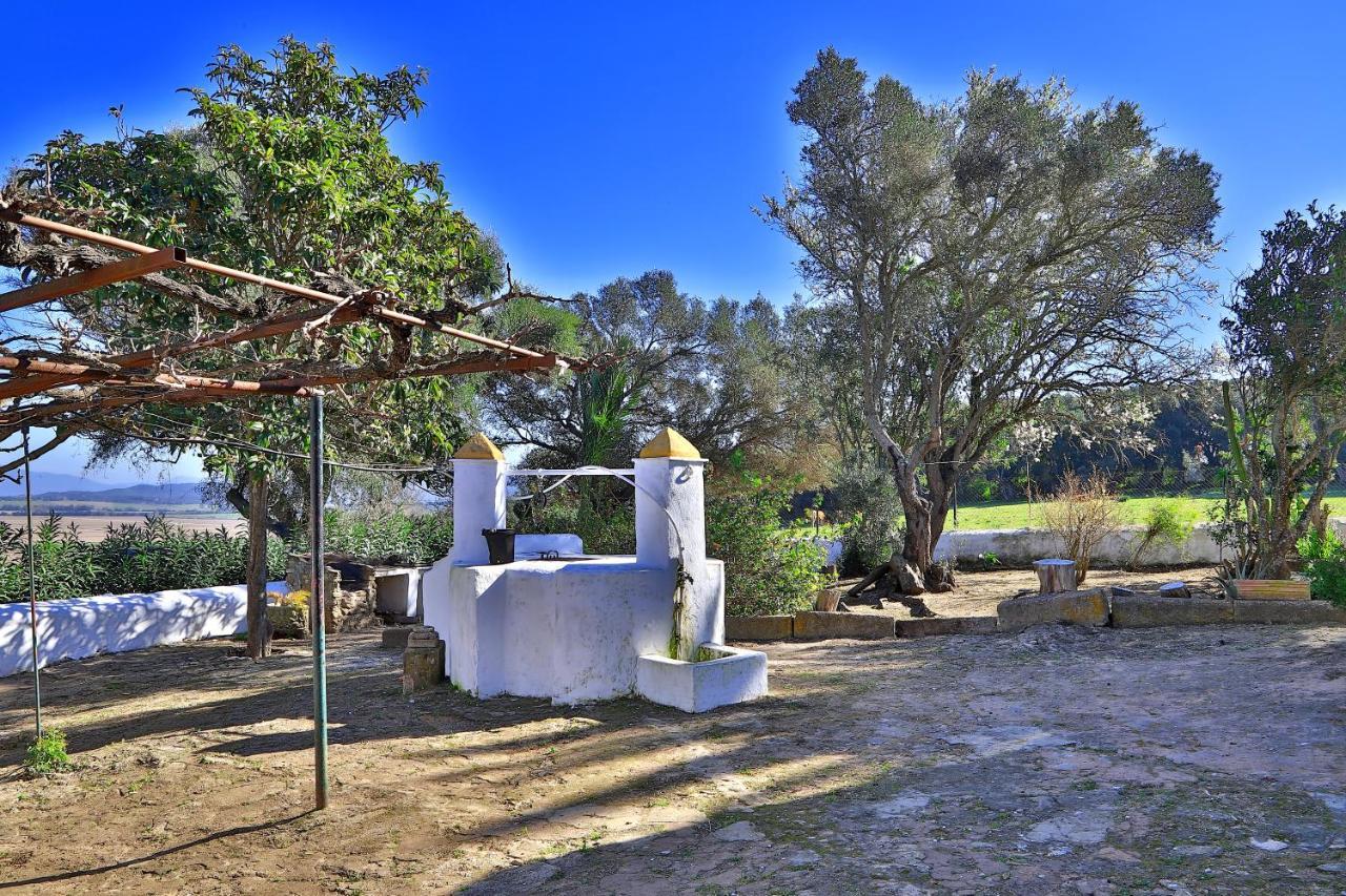 Casa Rural Finca Los Hierros Vejer de la Frontera Ngoại thất bức ảnh