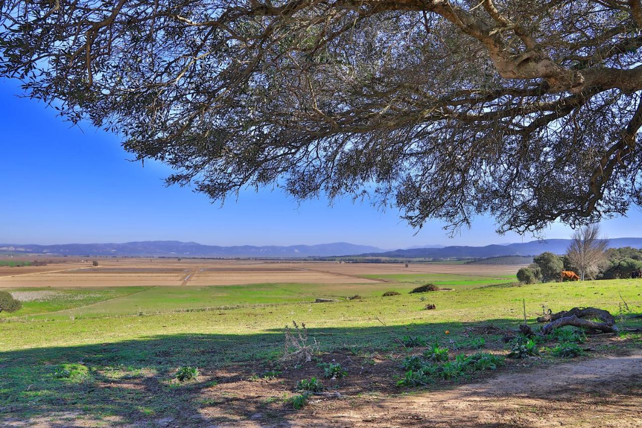 Casa Rural Finca Los Hierros Vejer de la Frontera Ngoại thất bức ảnh