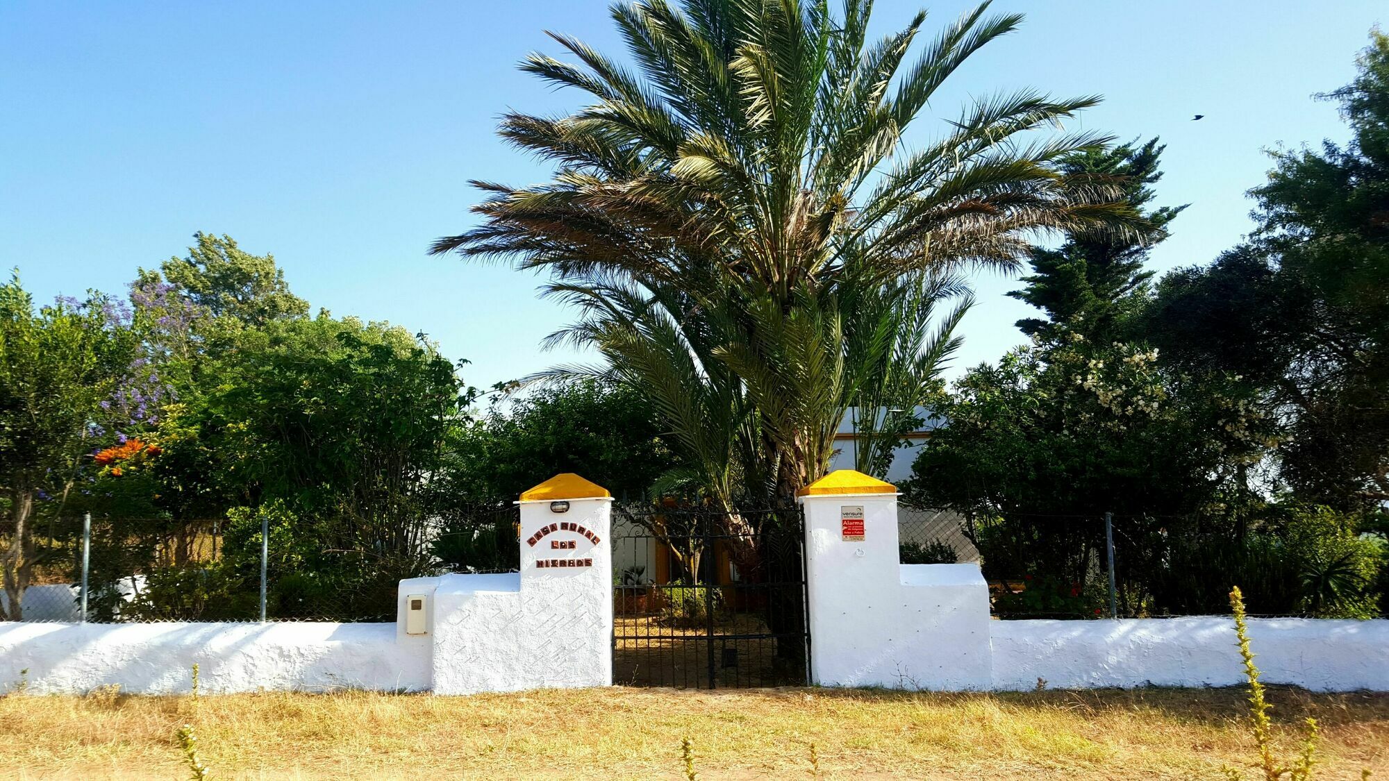 Casa Rural Finca Los Hierros Vejer de la Frontera Ngoại thất bức ảnh