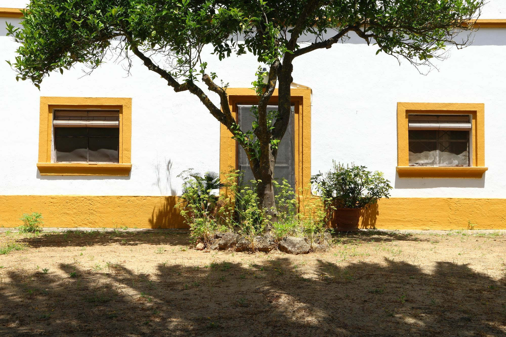 Casa Rural Finca Los Hierros Vejer de la Frontera Ngoại thất bức ảnh